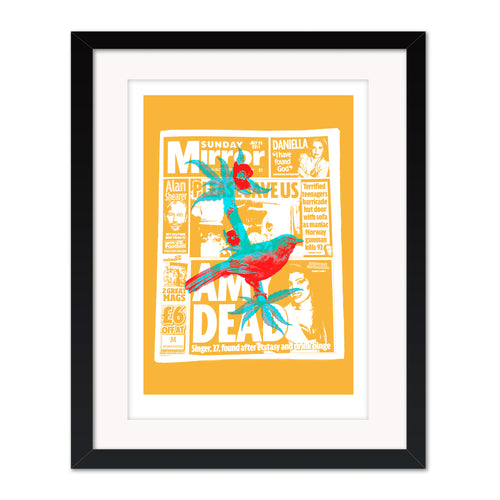 Amy Dead mounted giclee print by Bravespears in a black frame with picture glass, featuring a symbolic tabloid collage with bird, flower and foliage details.