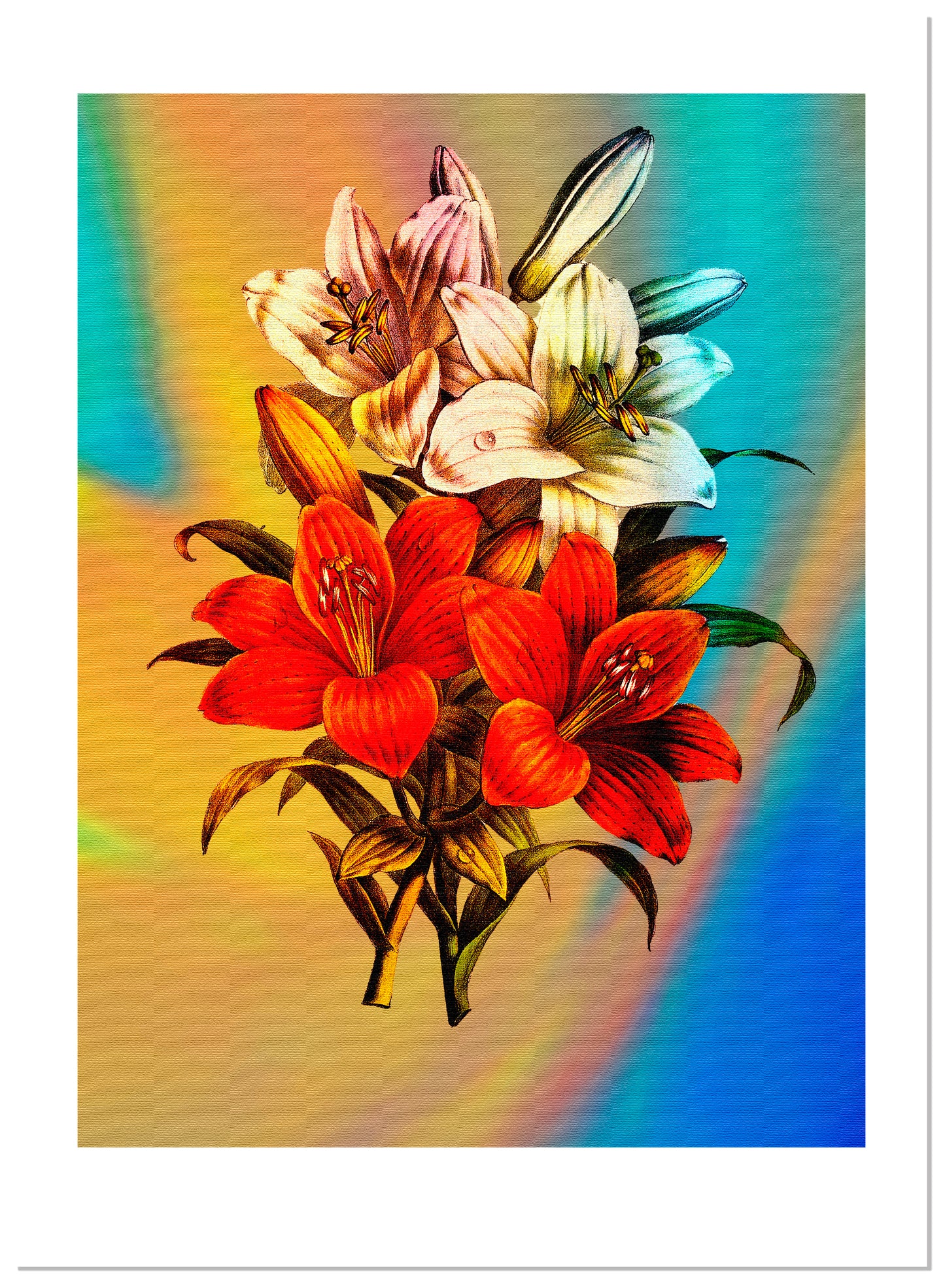 "Flowers" is an Open Edition Print from an original collage by Gerard McDonagh